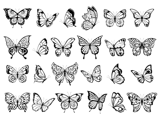 Butterfly collection. Beautiful nature flying insect drawing, exotic black butterflies with funny wings  pictures