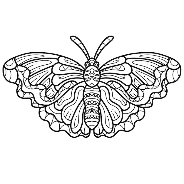 Butterfly coloring book zentangle isolated on white background