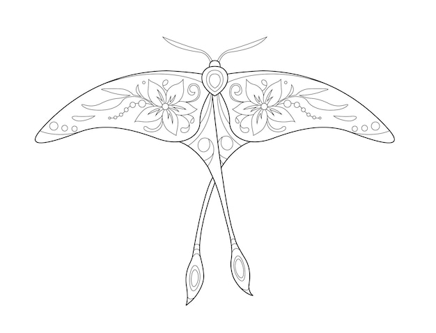 Butterfly coloring page Black and white line art Coloring book for adults