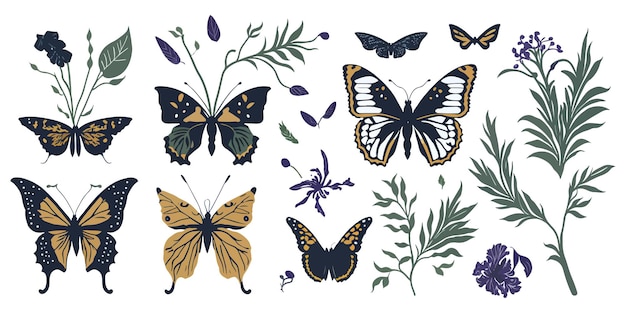 Butterfly Dreams HandDrawn Vector Set of Beautiful Insects