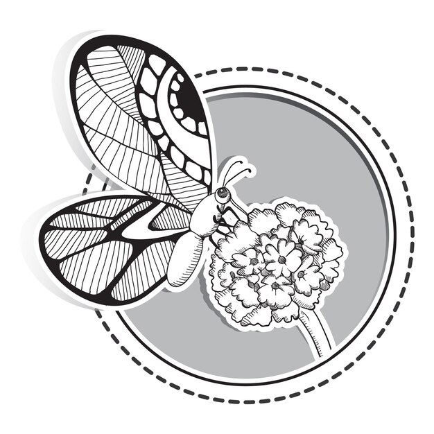 Butterfly on flower frame design