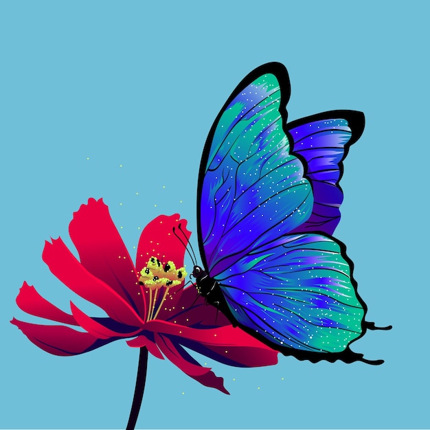 butterfly on flower vector illustration