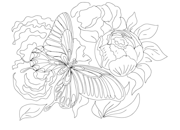 Vector butterfly and flowers peonies insects animals coloring book for kids graphic illustration hand drawn