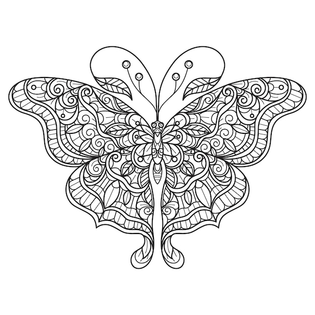 Butterfly hand drawn for adult coloring book