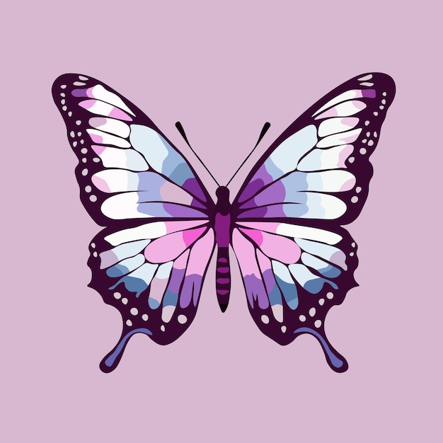 butterfly illustration