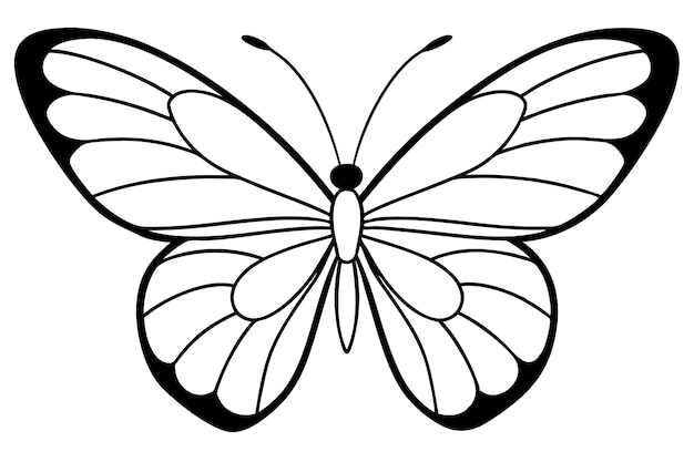 Vector butterfly indian henna design on white background