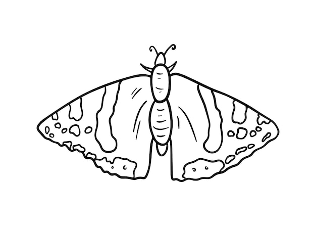 Butterfly insect with wings doodle linear cartoon coloring book