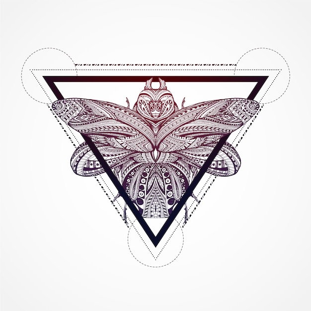 Butterfly inside of a triangle background