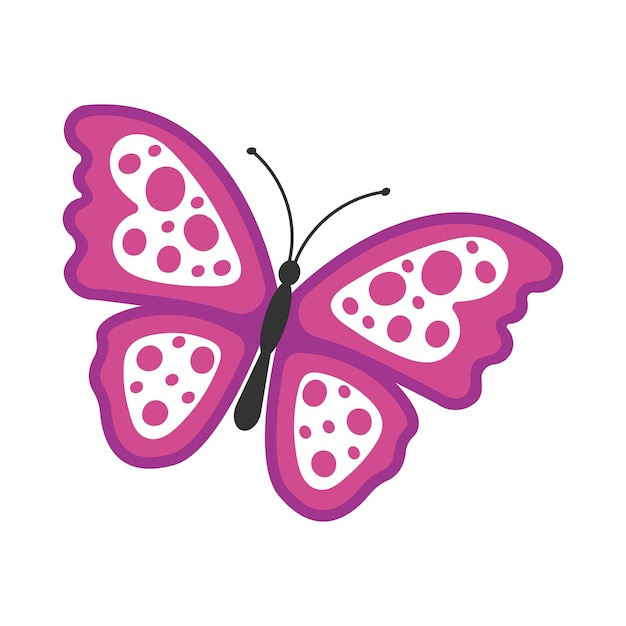 Butterfly isolated on white vector illustration