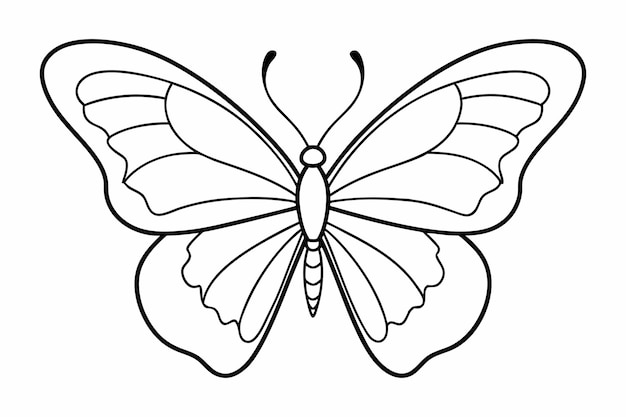 butterfly line art drawing