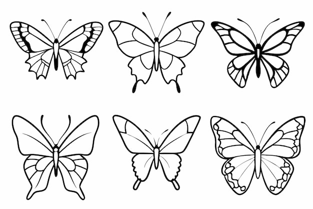 Vector butterfly line art