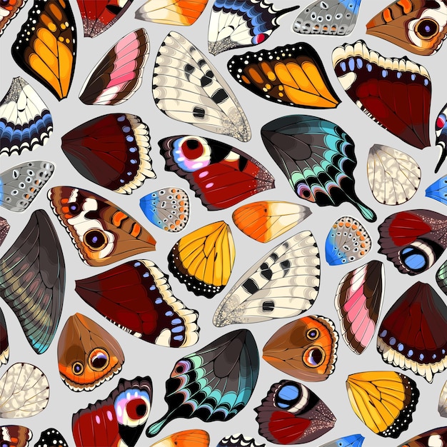 Butterfly and moth wings vector seamless pattern