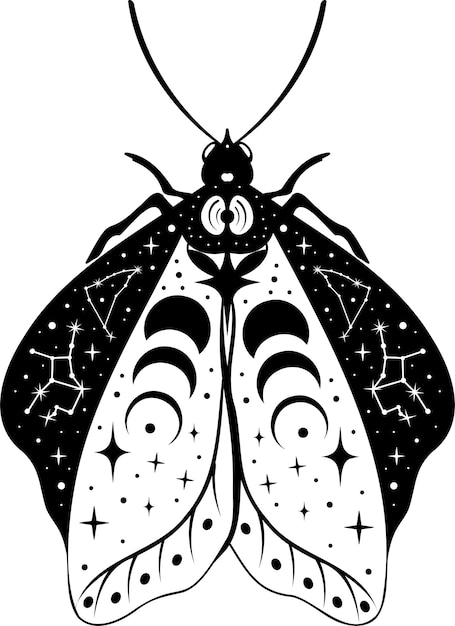 Butterfly Night moth Butterfly silhouette Vector illustration