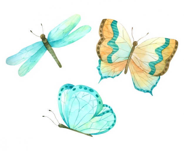 Butterfly set hand paint watercolour collection for design