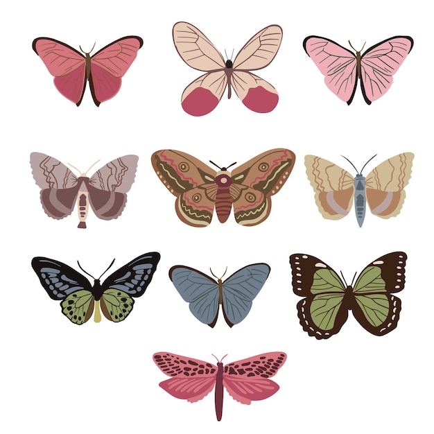 Butterfly Sets Illustration With Hand Drawn Icon