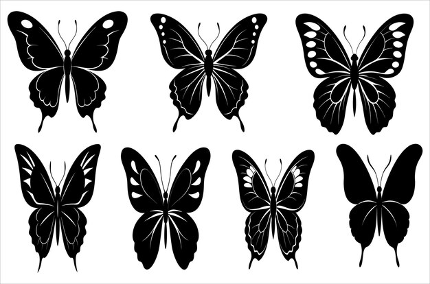 Vector butterfly silhouette butterfly vector illustration isolated on white background beautiful and attr