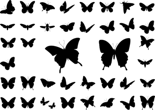 Butterfly silhouette pack vector