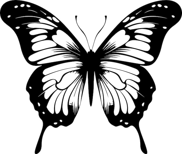 Butterfly silhouettes icon Simple flat butterfly vector illustration