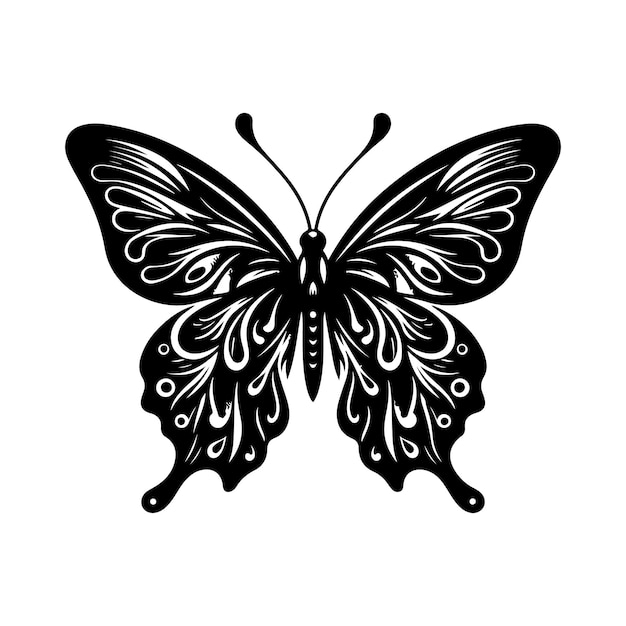 Vector butterfly stencil vector