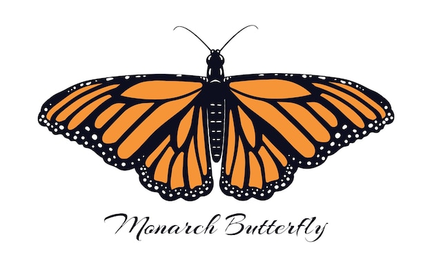 a butterfly that is calledMonarch butterfly emblem Flying insect isolated vector monarch butterfly