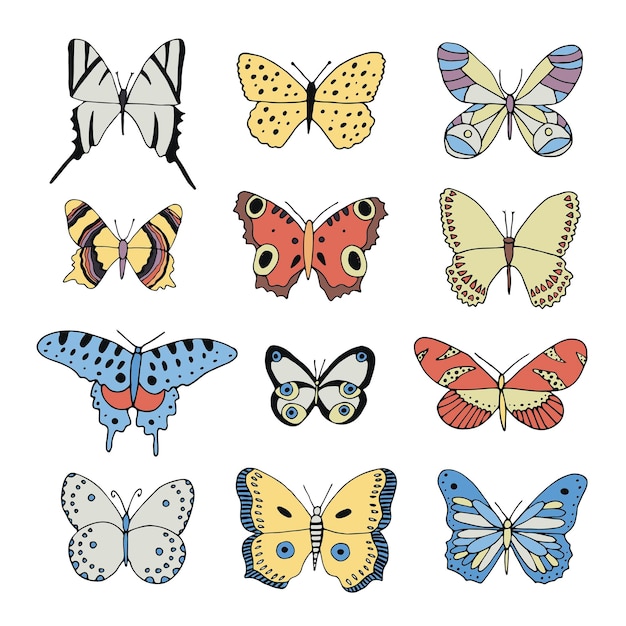 Butterfly vector collection illustrations set