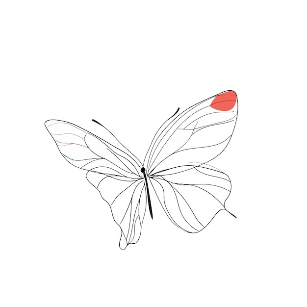 Vector butterfly vector cute