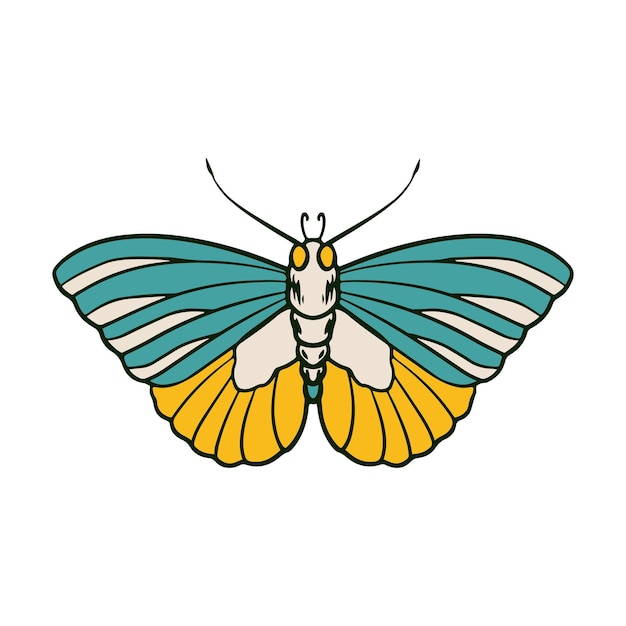 Vector butterfly vector illustration