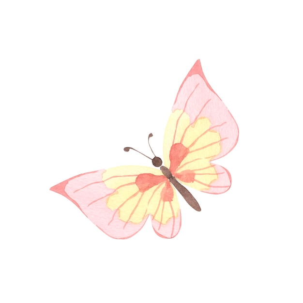 Butterfly watercolor illustration for kids