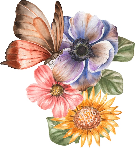 Butterfly watercolor illustration