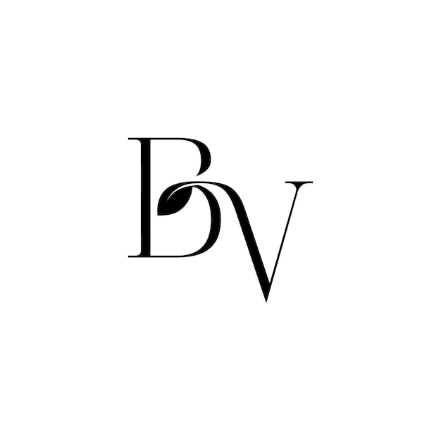 Vector bv logo with a leaf on a white background