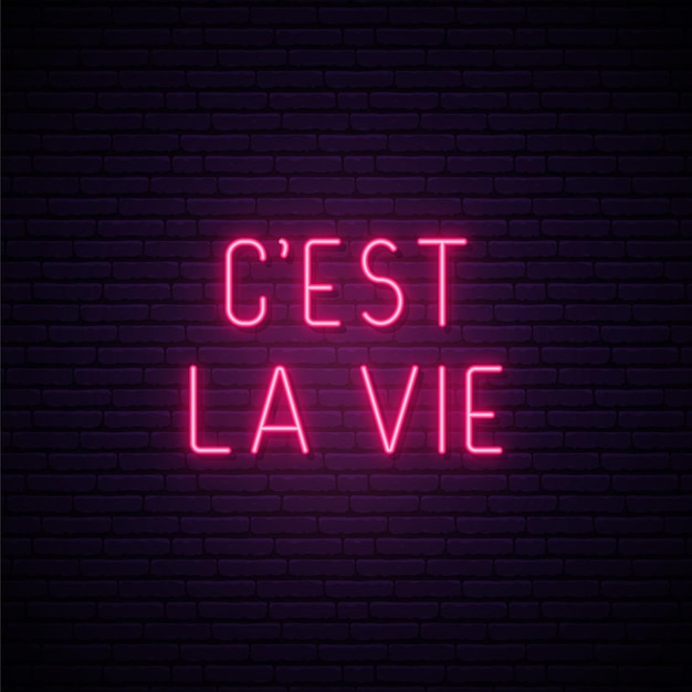 C'est La Vie neon signboard It's life on French Glowing phrase