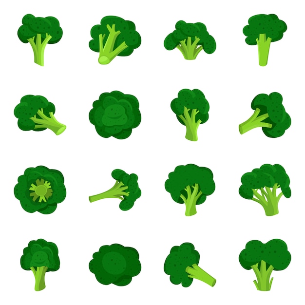 Cabbage broccoli cartoon elements. Isolated illustration of vegetables and broccoli. set of elements cabbage. 