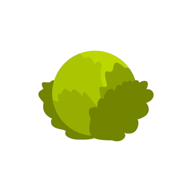 Cabbage icon in flat style on a white background