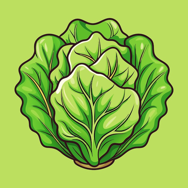 Cabbage Vegetable Cartoon Vector Icon Illustration Food Nature Icon Concept Isolated Premium Vecto