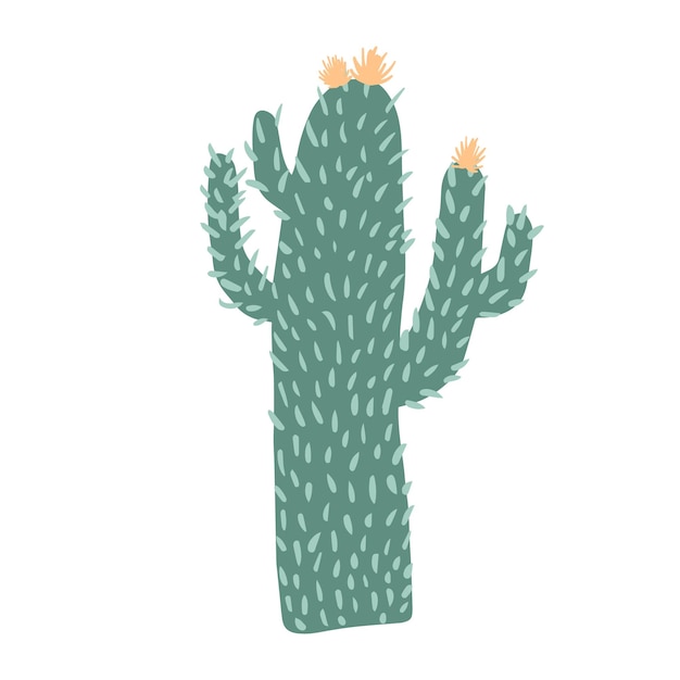 Cacti flower isolated on white background Big cactus in doodle style Cute prickly green cactus