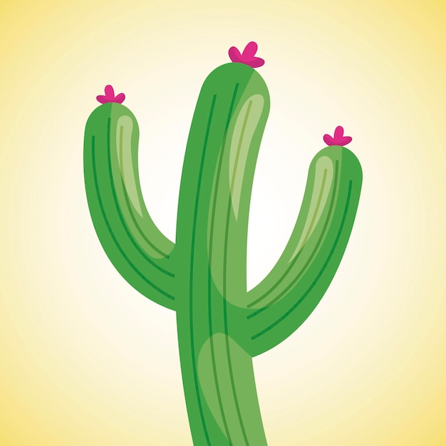 Cactus cartoon vector