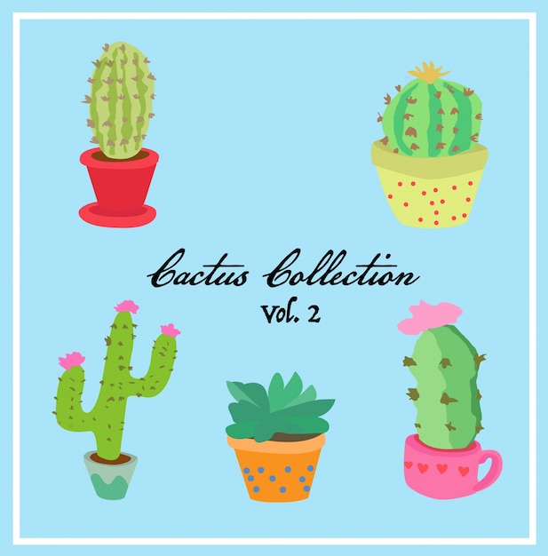 Cactus Collection