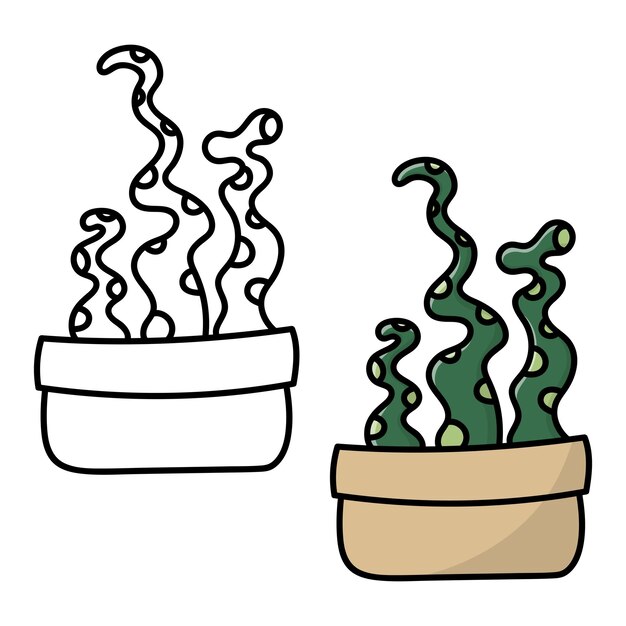 Cactus coloring book page Cactus in a pot Isolat