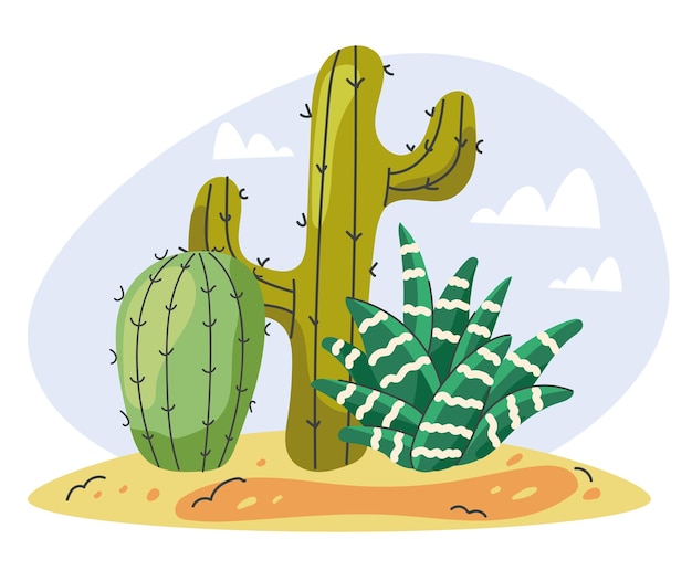 Vector cactus composition concept vector flat cartoon graphic illustration