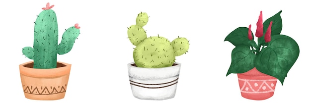 Cactus and Decorative Plant Illustration with Pastel Color