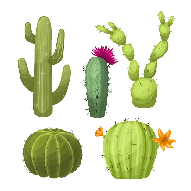 Cactus dessert set cartoon vector illustration