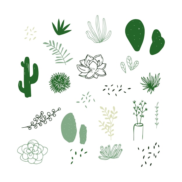 Cactus doodle vector set