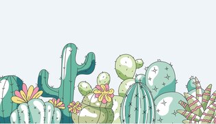 cactus illustrations