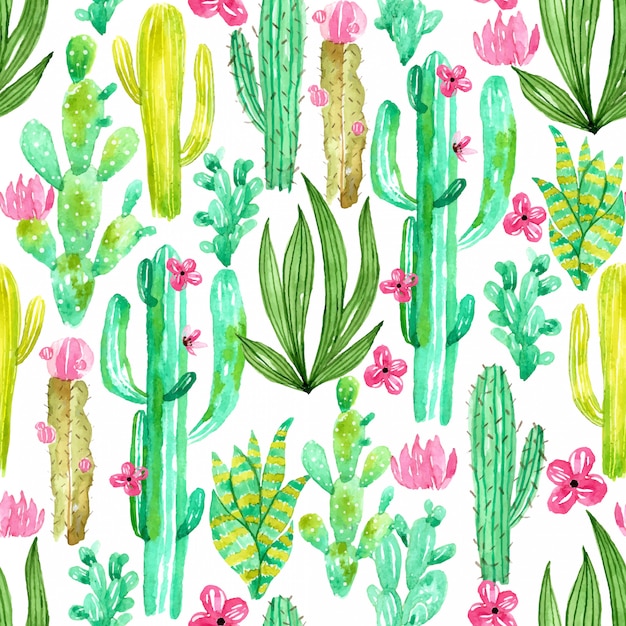 Cactus flowers pattern