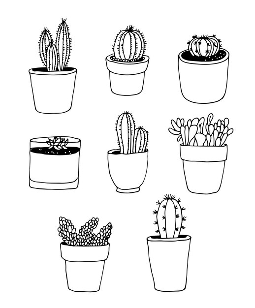 Vector cactus hand drawn vector set plant collection