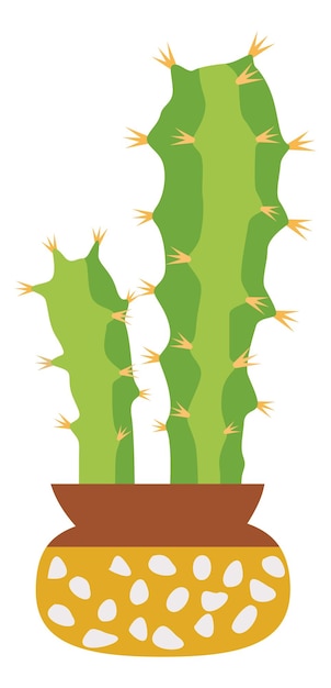 Cactus in home garden Urban jungle green plant