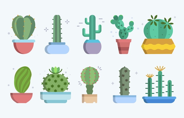 cactus home plants set