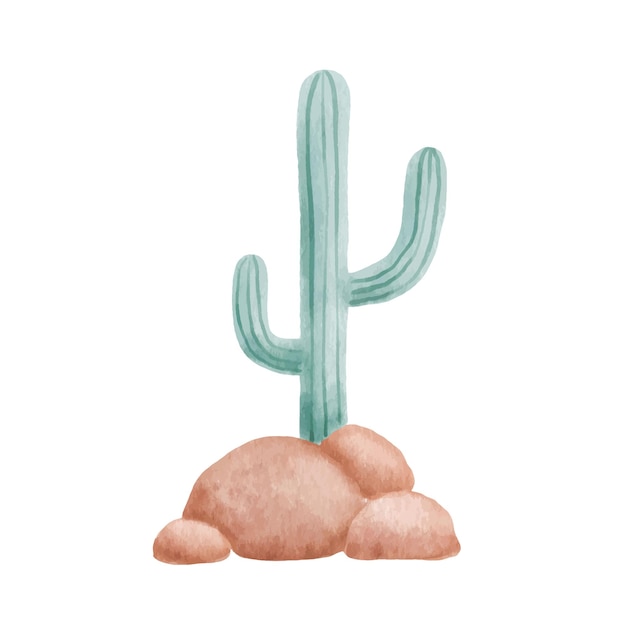 Cactus illustration isolated on white