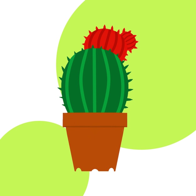 Cactus isolated on colored background Green and red cactus Vector illustration