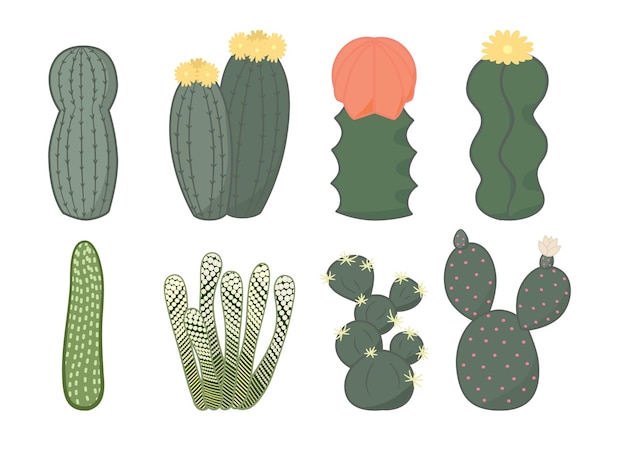 Cactus and juicy set in doodle style. Various green house cacti collection in flat design.